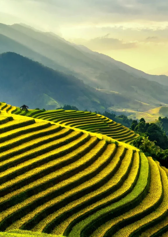 We grow fresh, organic produce using clean methods that protect nature, healthy food.