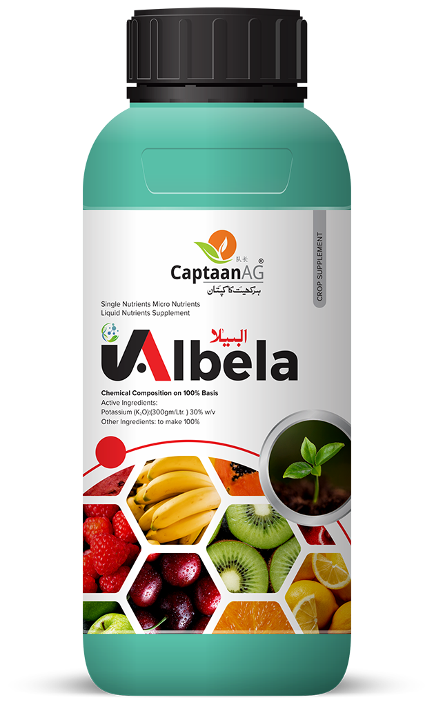 Albela