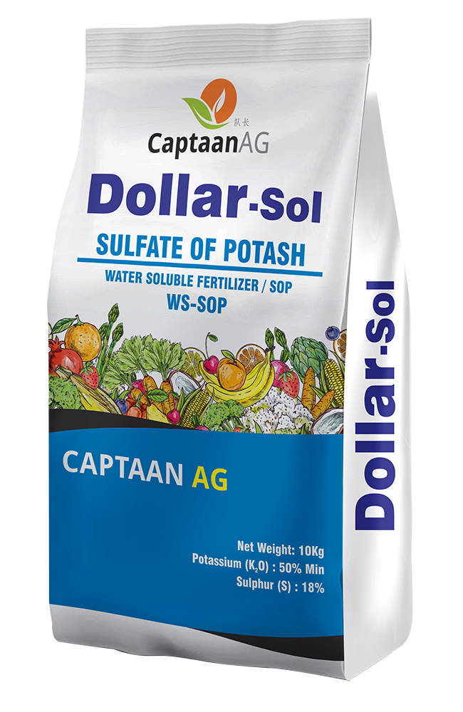 DOLLAR SOL