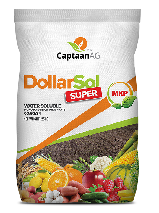 DOLLARSOL SUPER